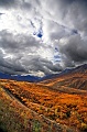 Yukon wilderness 003 Copyright Villayat Sunkmanitu
